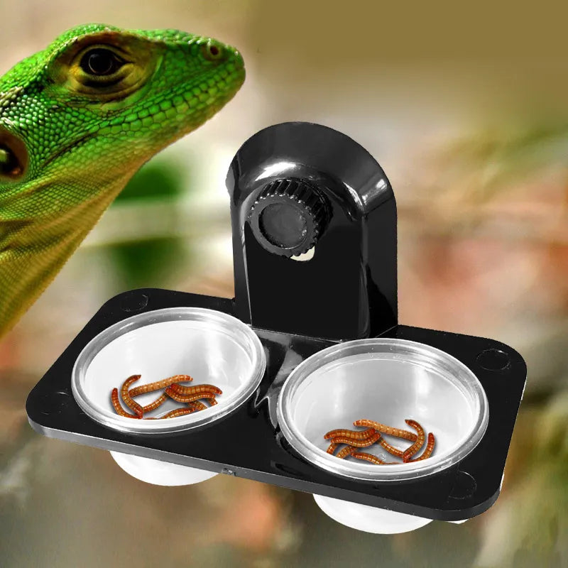 Reptile Tank Food Water Feeding Bowl