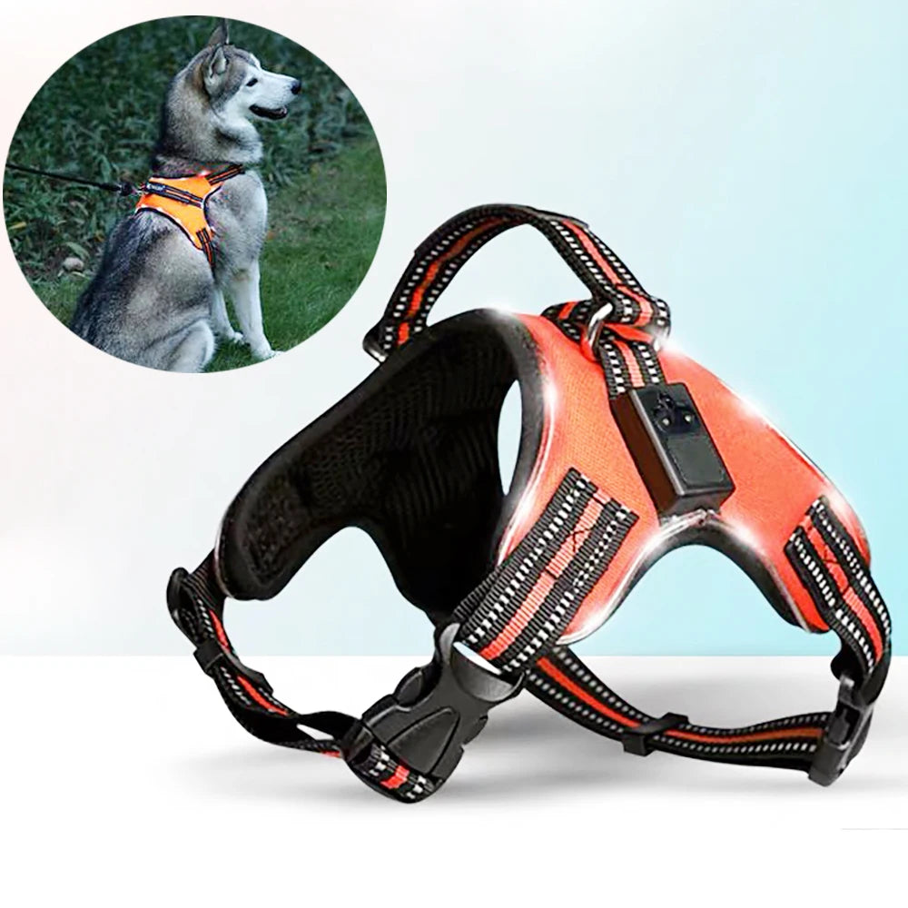 Nylon Led Flashing Light Dog Harness