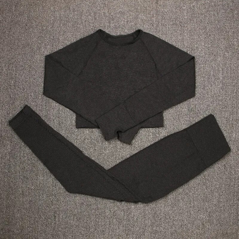 2/3 PCS Seamless Yoga Set