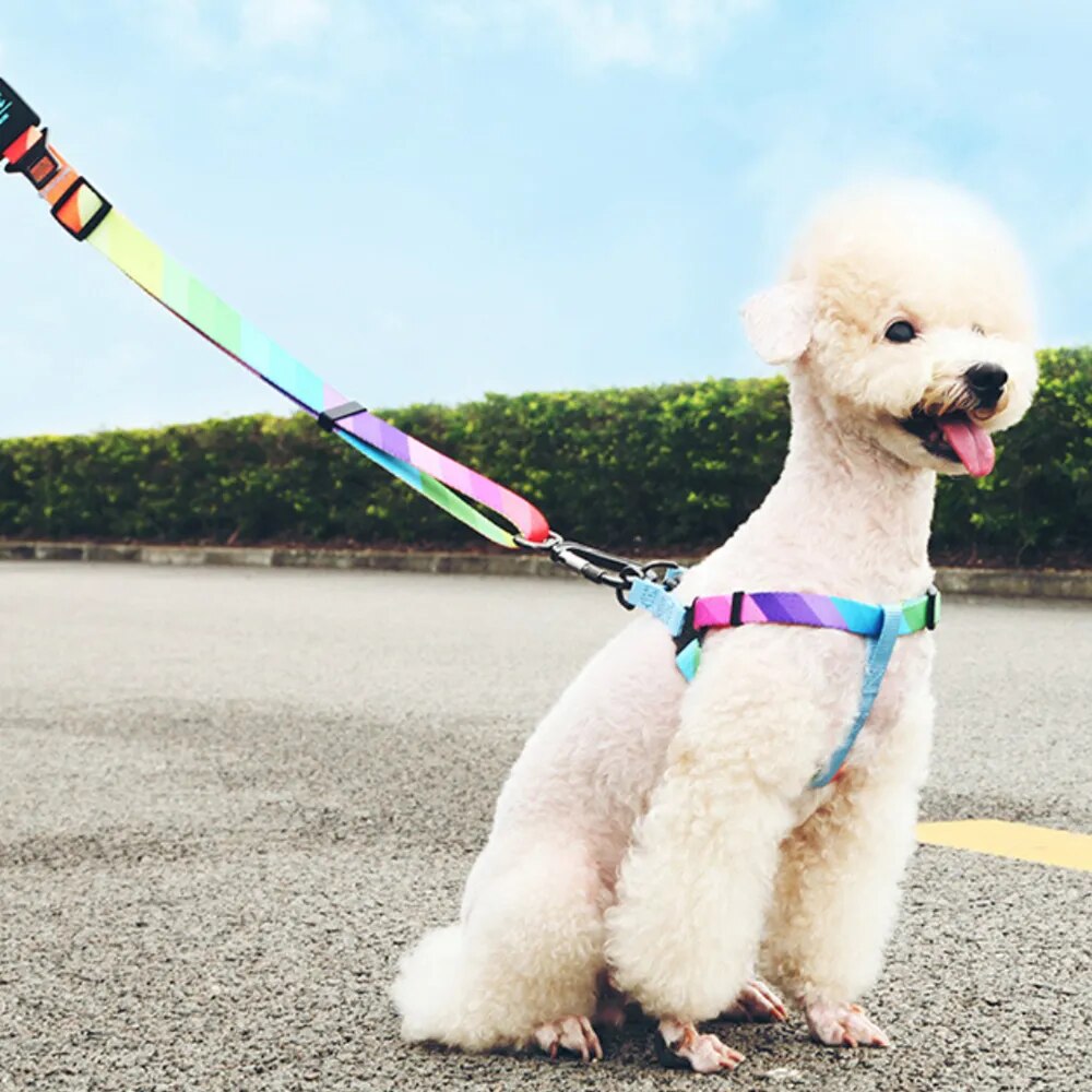 Adjustment Walking Dog Leash