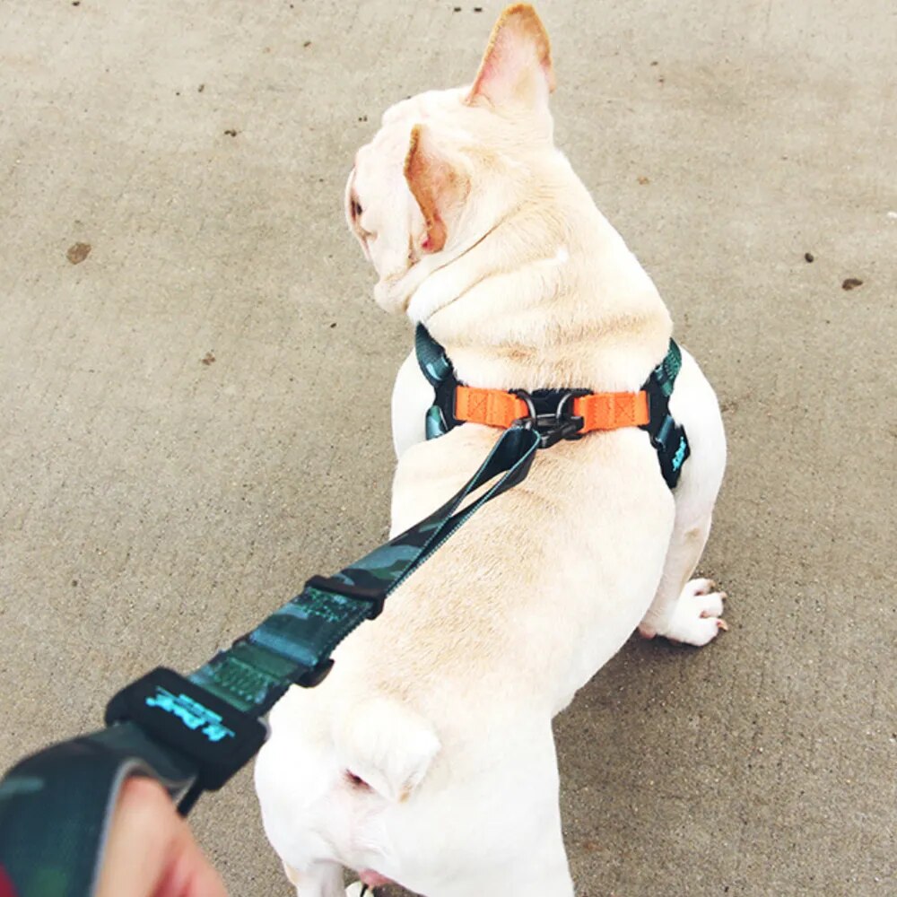 Adjustment Walking Dog Leash