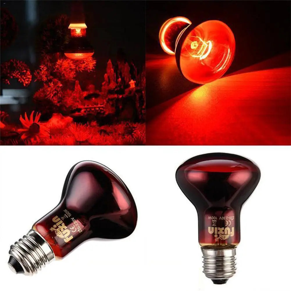 Led Red Reptile Night Light