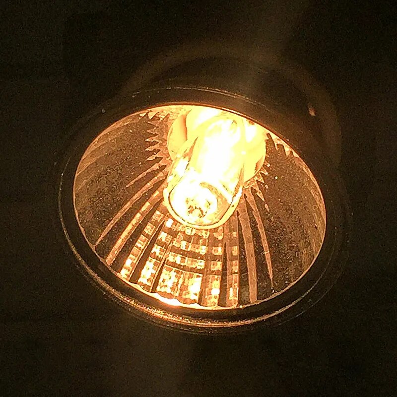 Reptile Pet Heat Lamp