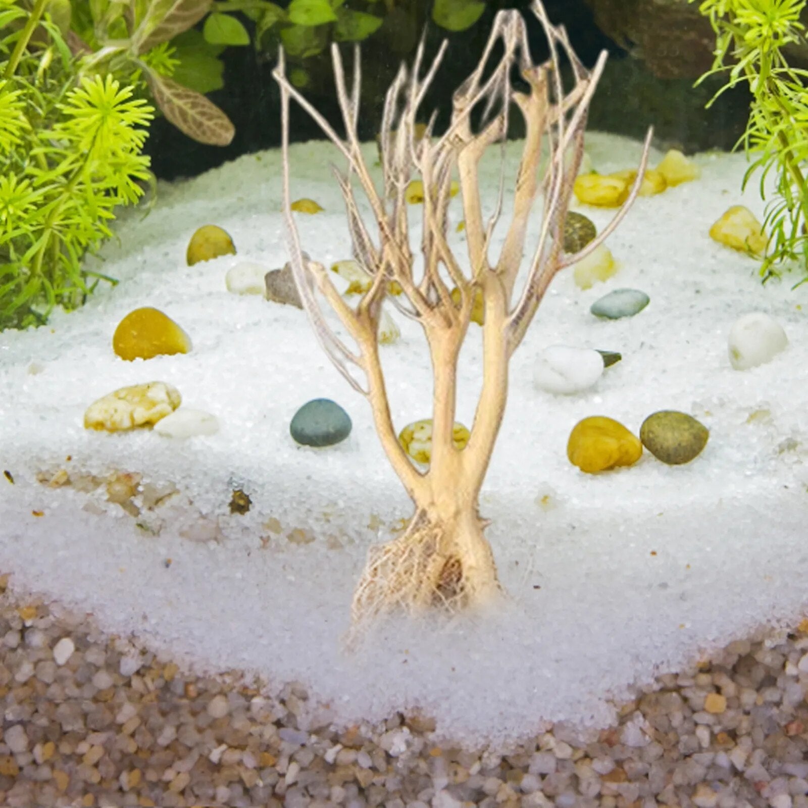 Natural Driftwood Aquarium