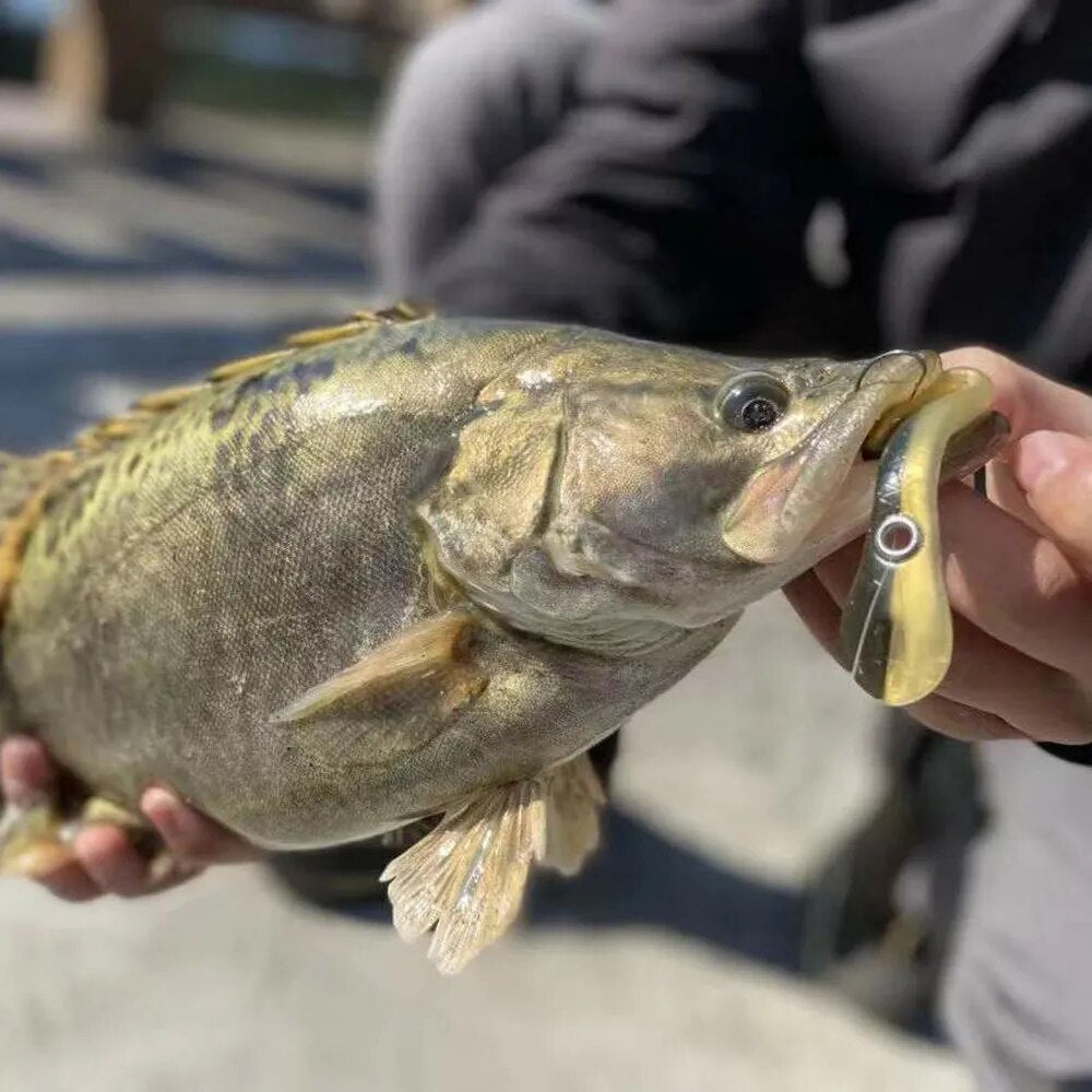 Artificial Bait for Bass Pike Fishing