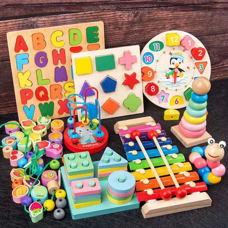 Montessori Wooden Educational Toys